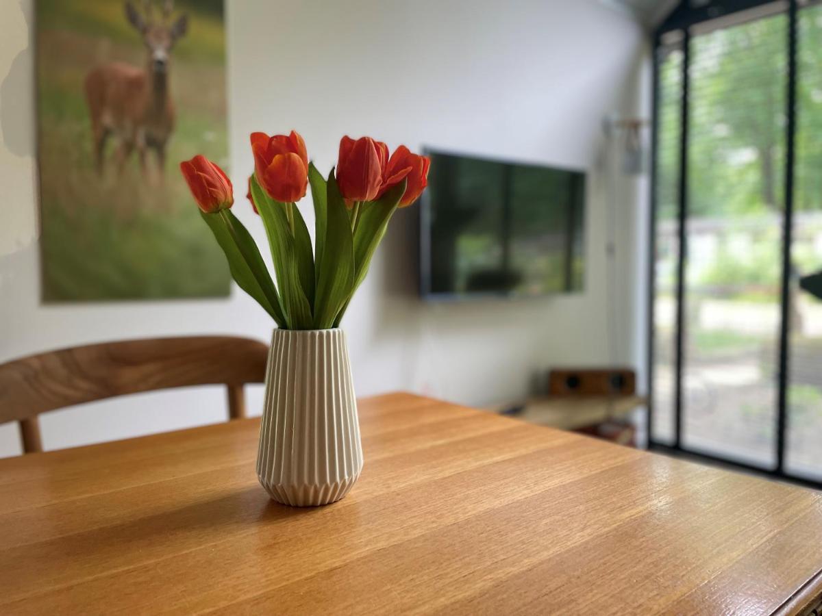 Cosy Tiny Lodges - Vakantiepark Kempenbos Diessen Eksteriør billede