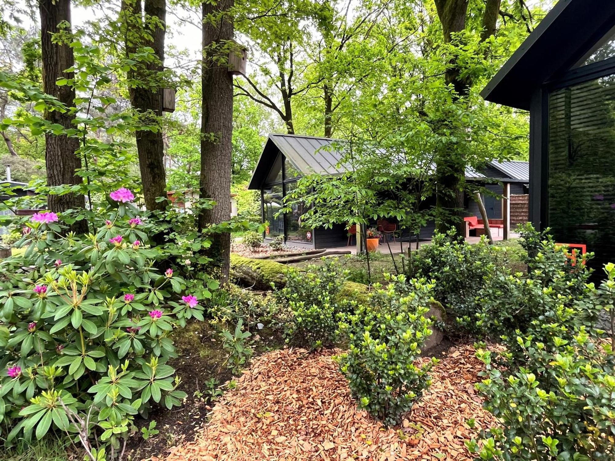 Cosy Tiny Lodges - Vakantiepark Kempenbos Diessen Eksteriør billede